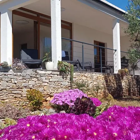 B&B Vela Luka